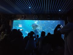 -左海海底世界