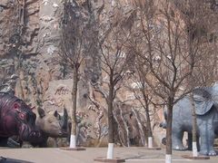 -西霞口神雕山野生动物世界