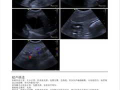 -小叮当动物医院·骨科·眼科