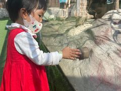 -仲盛世界商城