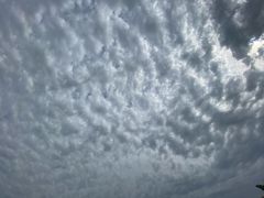 -秀水公园
