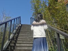 -宁海安岚·南溪阁全日餐厅