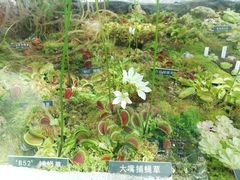 -国家植物园南园