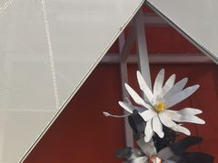-法桐蛋糕·手作面包(万象城店)