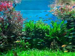 -太平洋海底世界