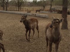 -赛汗塔拉风情园