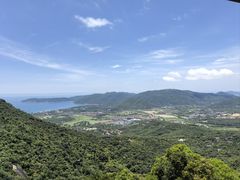 -三亚亚龙湾人间天堂鸟巢度假村