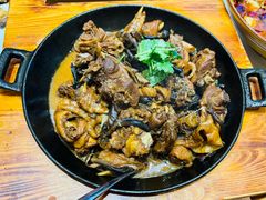 笨小鸡炖蘑菇-王朝圣地温泉酒店-中餐厅