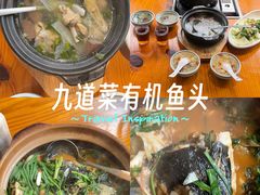 -九道菜有鸡鱼头(石鼓路店)