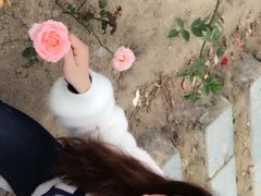 -丹樱生态园