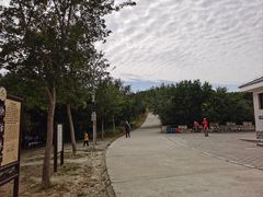 -北京西山国家森林公园