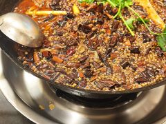 泡椒美蛙汤锅-鸿顺老铁锅美蛙鱼府(解放碑店)