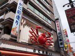 -蟹道乐(道顿堀本店)