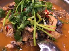 -全乐鱼馆·淳牌有机鱼直营店