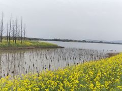 -下渚湖国家湿地公园科普馆