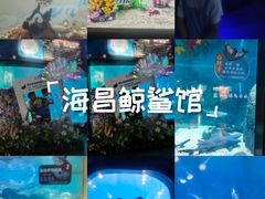 -烟台海昌鲸鲨海洋公园