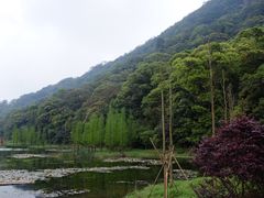 -广州市石门国家森林公园
