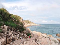 -广东惠东海龟国家级自然保护区