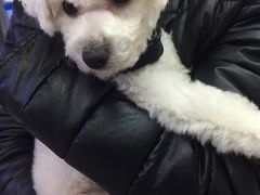 -宠颐生中康贝怡动物医院