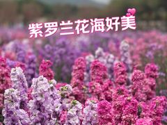 -盈香心动乐园