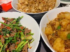 -壹盏灯(惠农店)