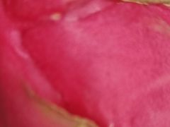 -深圳湾万象城(南山店)