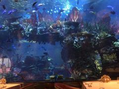 -迪拜帆船酒店海底餐厅