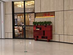 -洋洋中餐馆·SINCE 1997(龙湖星湖天街店)