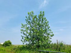 -松声马术俱乐部