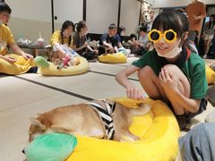 -逗柴咖啡屋·狗咖猫咖宠物桌游