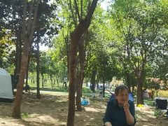 -洨河生态公园
