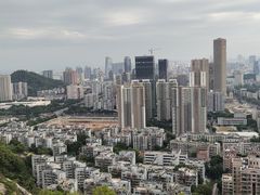 -板樟山森林公园