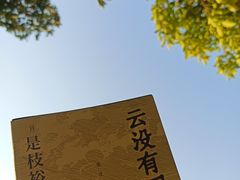 -东莞植物园
