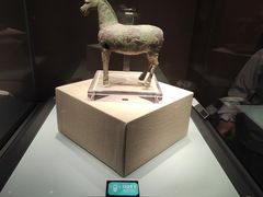 -张掖市博物馆