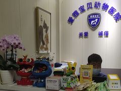 -中农大我爱我爱24h动物医院·中医针灸·猫专科·骨科医疗中心(双井店)