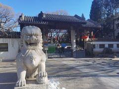 -团结湖公园