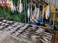 -大湾区中央湿地公园-十九涌