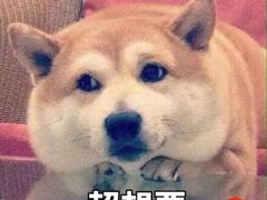 -锦尚阁烤鱼(望京新荟城店)