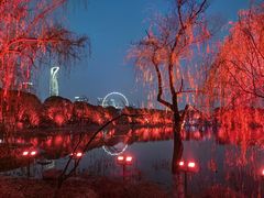 -金鸡湖桃花岛