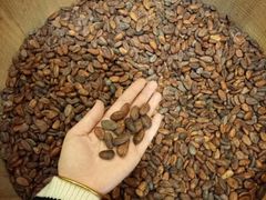 -歌斐颂巧克力小镇