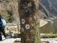 -秦岭终南山世界地质公园翠华山景区