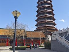 -金城公园