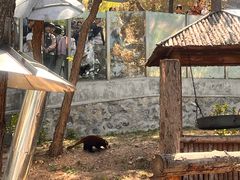 -大连森林动物园