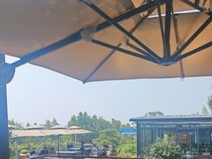 -蘇河湾·新鲁菜·泰山宴(泰山店)