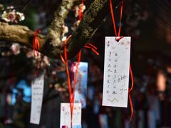 -上海市龙华烈士陵园