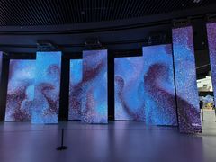 -深圳市当代艺术与城市规划馆
