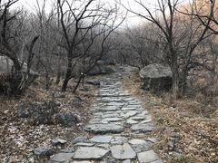 -阳台山自然风景区