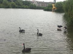 -南通濠河风景名胜区