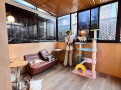 -MOCHA明星猫咖(田子坊店)