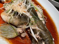 -船歌·鱼水饺青岛菜(闽江二路店)